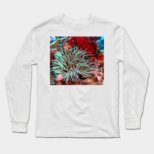 Giant Green Sea Anemone feeding near Red Coral Reef Wall Long Sleeve T-Shirt